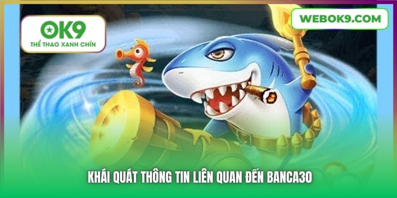 Khái quát thông tin liên quan đến Banca30